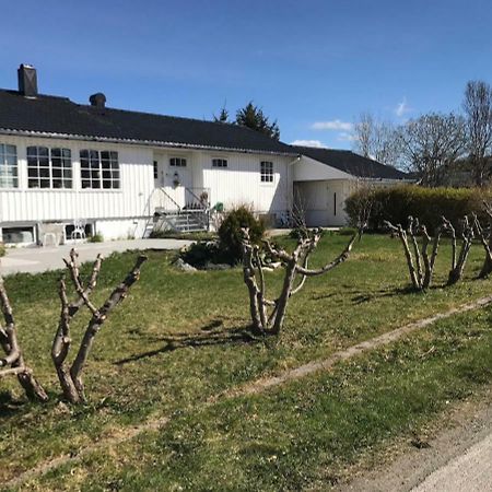 ليكنيز Cozy & Private Room In The Middle Of Lofoten المظهر الخارجي الصورة