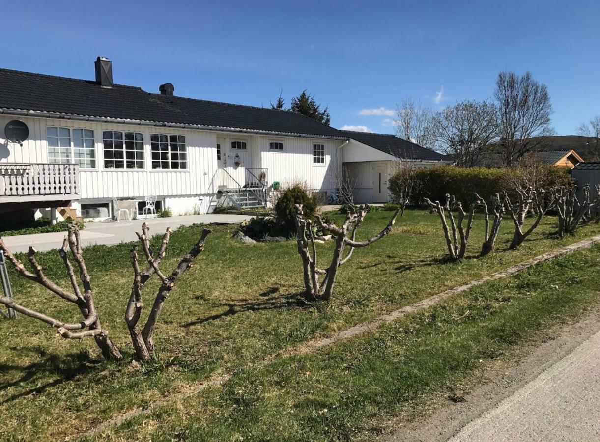 ليكنيز Cozy & Private Room In The Middle Of Lofoten المظهر الخارجي الصورة